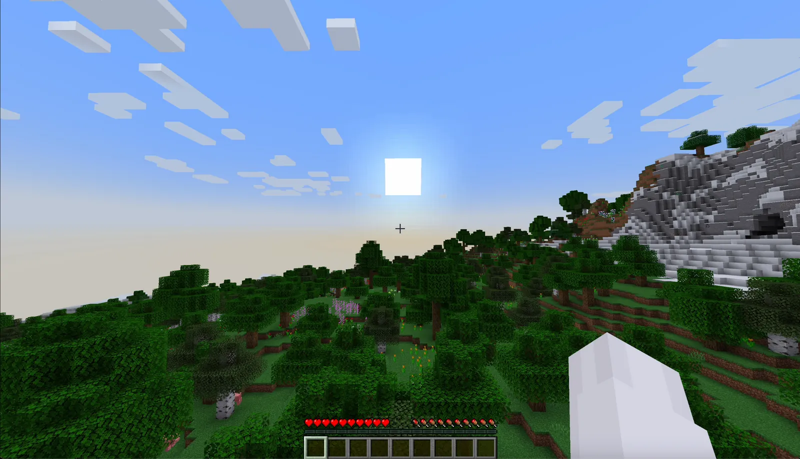 Daytime in a Minecraft world