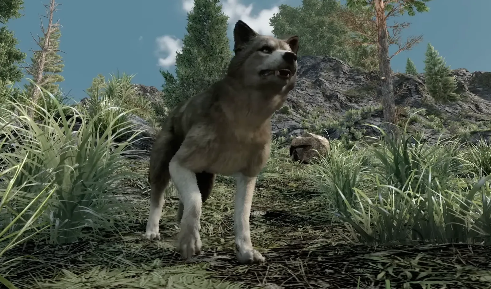 New animal models for deer, wolves, mountain lions, and more