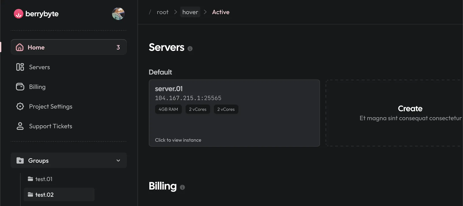 Project Turtle dashboard preview showing a server card and sidebar